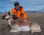 17 Mark 2014 Antelope Doe